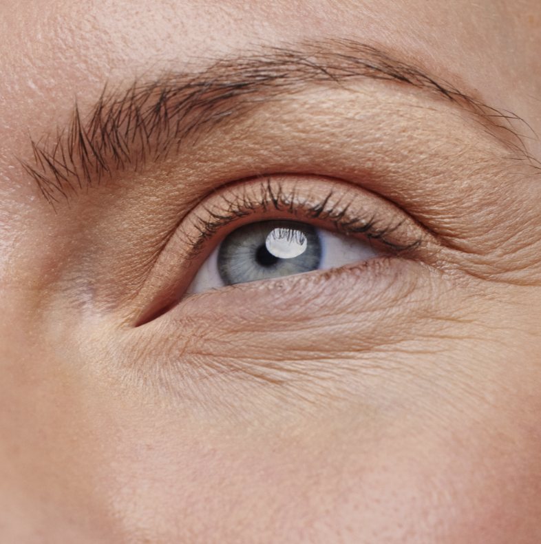 A close up of an eye 